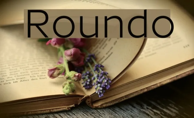 Roundo Example 3