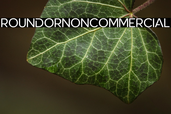 RoundorNonCommercial Example 2