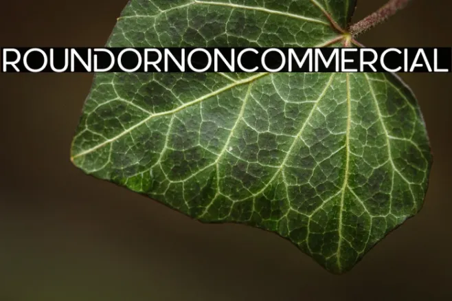 RoundorNonCommercial Example 2