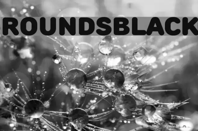 RoundsBlack Font examples