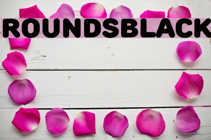 RoundsBlack Font examples