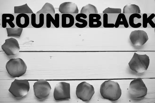 RoundsBlack Font examples