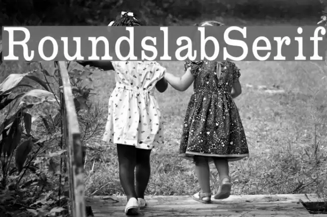 RoundslabSerif Font examples