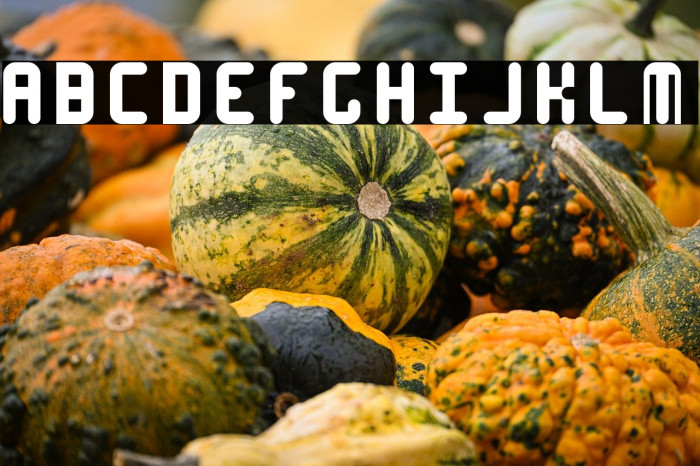 Roundy Regular Example 2