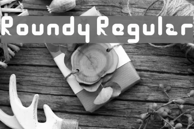 Roundy Regular Font examples