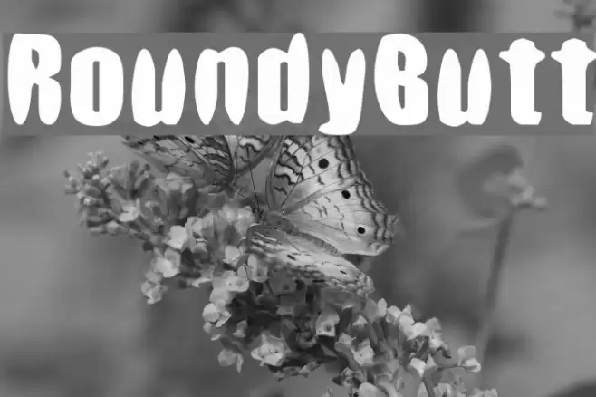 RoundyButt フォント examples