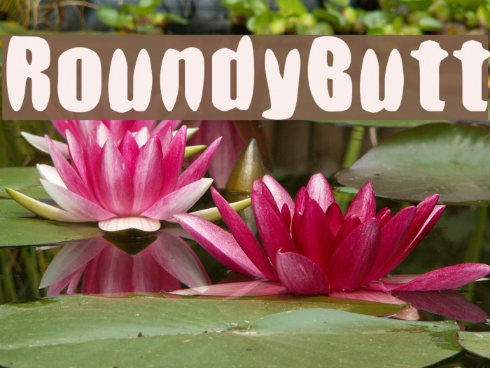 RoundyButt フォント examples