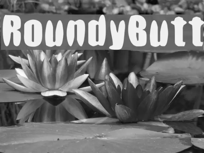 RoundyButt フォント examples