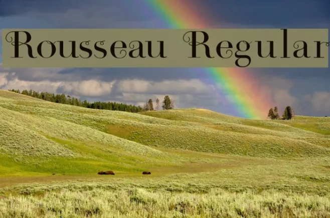 Rousseau Regular Example 1