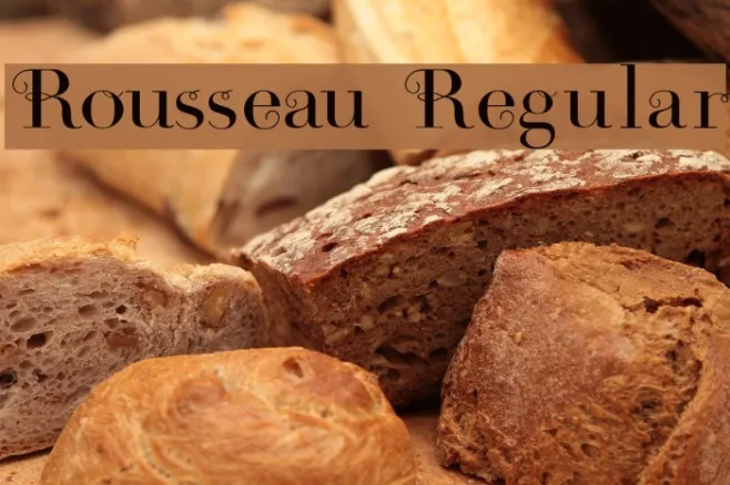 Rousseau Regular Example 3