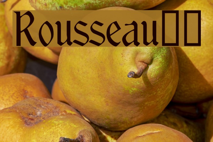Rousseau!` Font examples