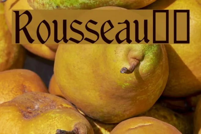 Rousseau!" Example 2