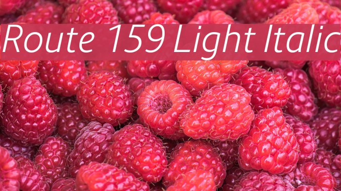 Route 159 Light Italic Font examples