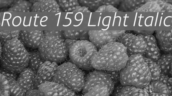 Route 159 Light Italic Шрифта examples
