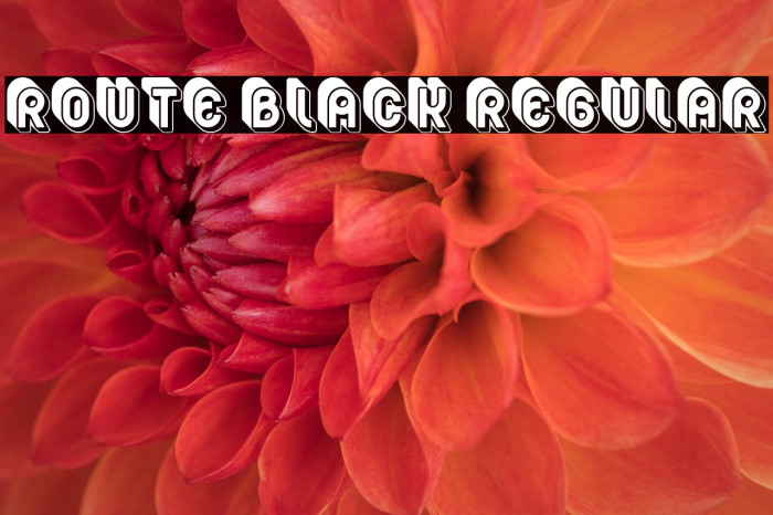Route Black Regular Example 1