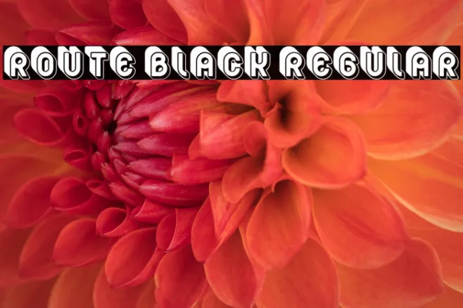 Route Black Regular Example 1