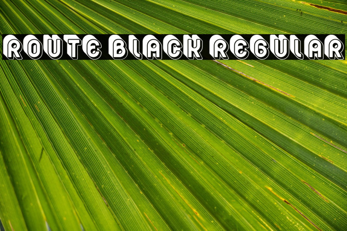 Route Black Regular Example 2