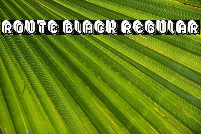 Route Black Regular Example 2