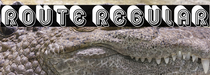 Route Regular Example 2