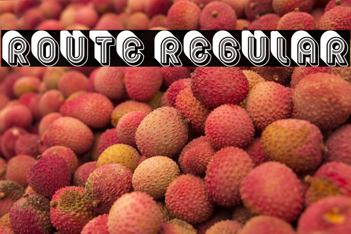 Route Regular Example 3