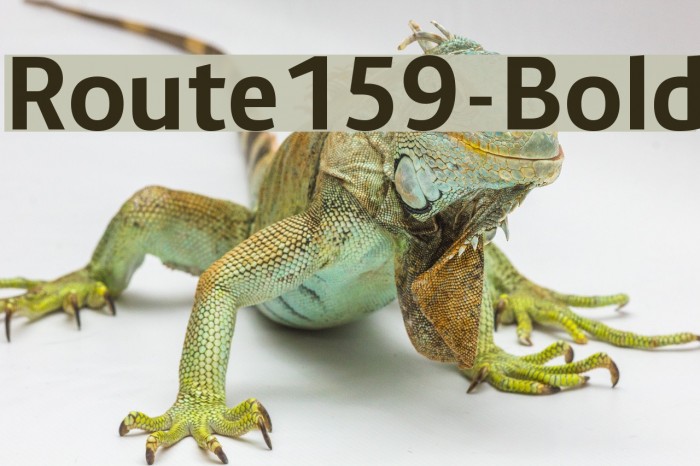 Route159-Bold Font examples