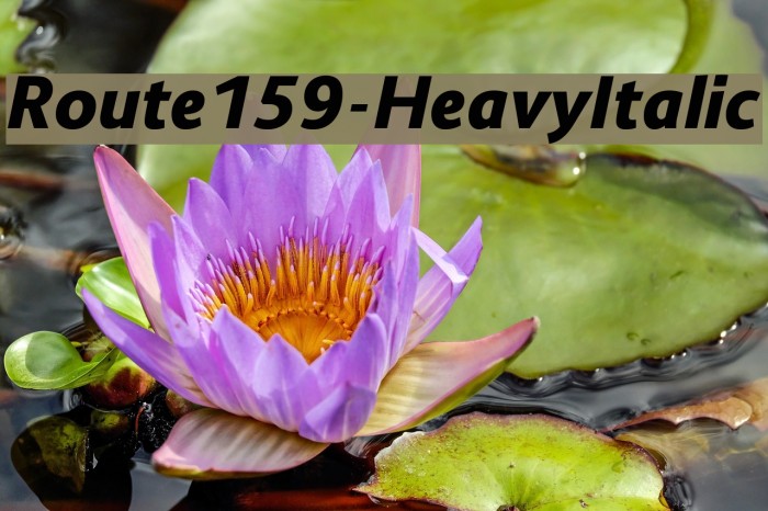 Route159-HeavyItalic Font examples