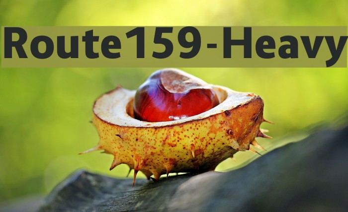 Route159-Heavy Font examples