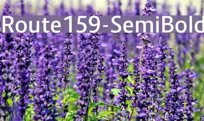 Route159-SemiBold Font examples