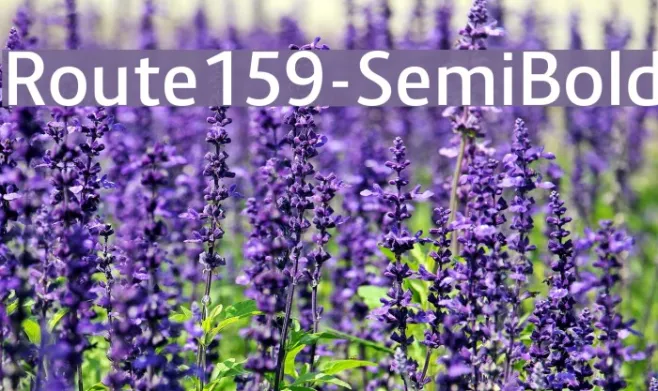 Route159-SemiBold Example 1