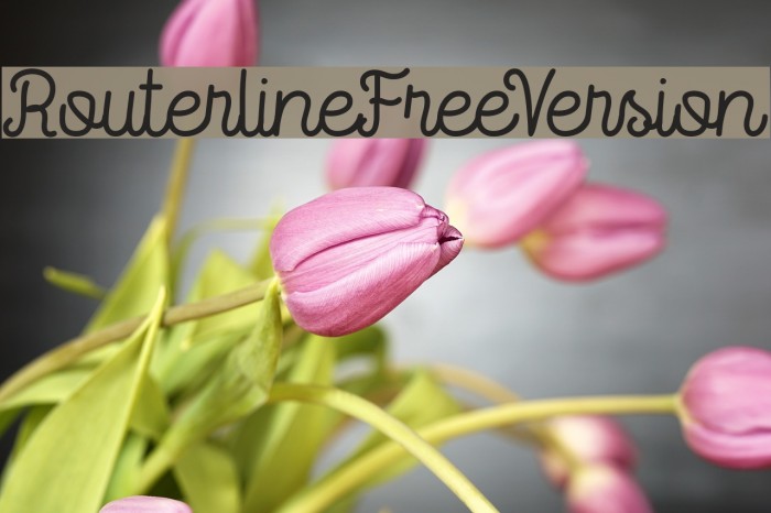 RouterlineFreeVersion Font examples