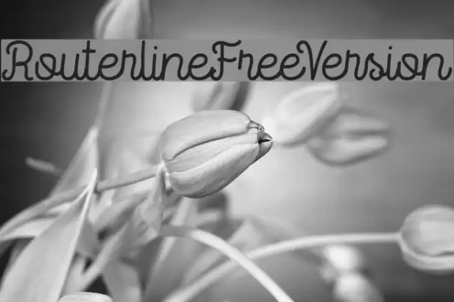 RouterlineFreeVersion Font examples