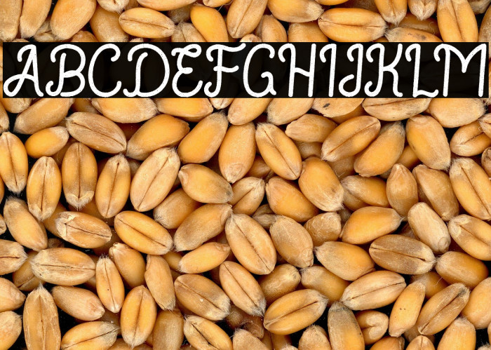 RouterlineRough Example 3