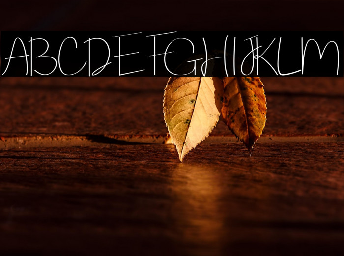 Routhem-Regular Example 3