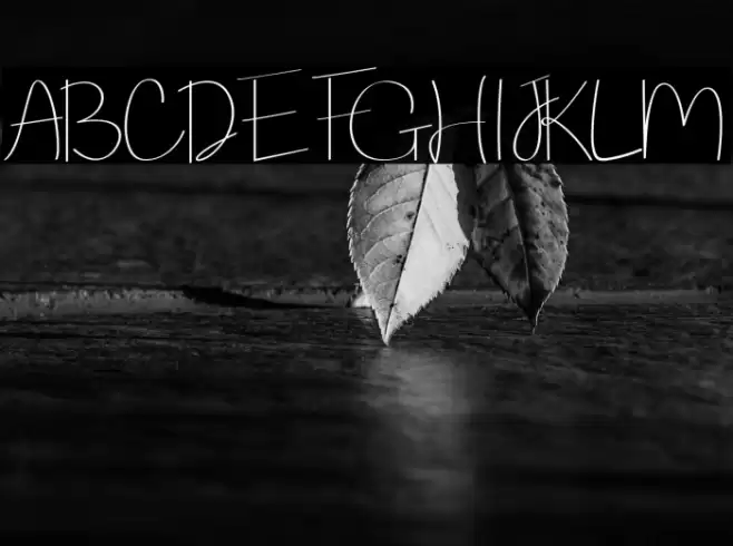 Routhem-Regular Font examples