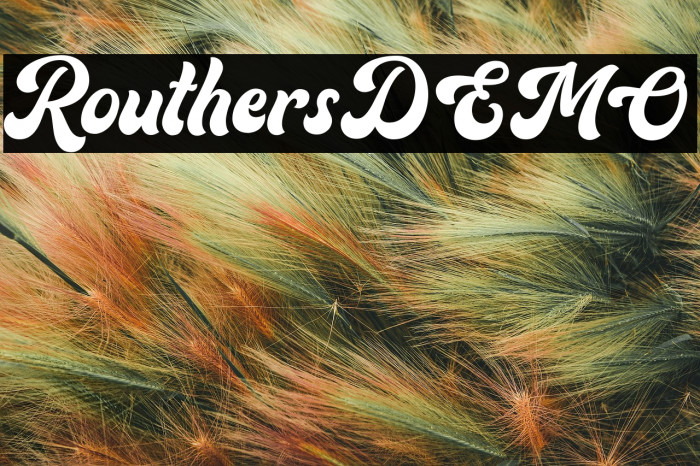 RouthersDEMO Example 1