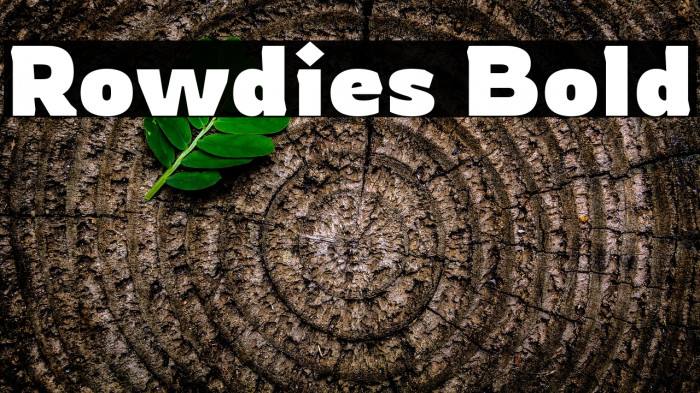 Rowdies Bold Font examples