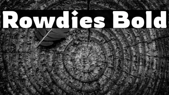 Rowdies Bold Font examples