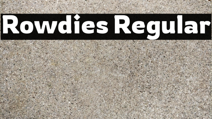 Rowdies Regular Font examples