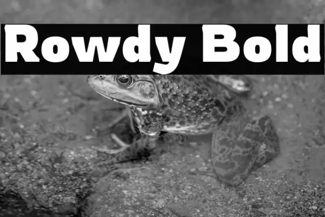 Rowdy Bold Font examples