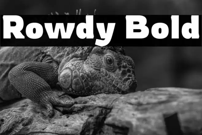 Rowdy Bold Font examples