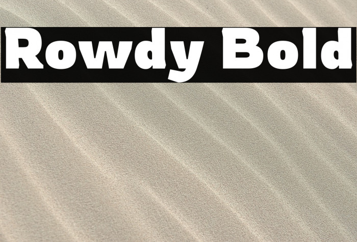 Rowdy Bold Example 3