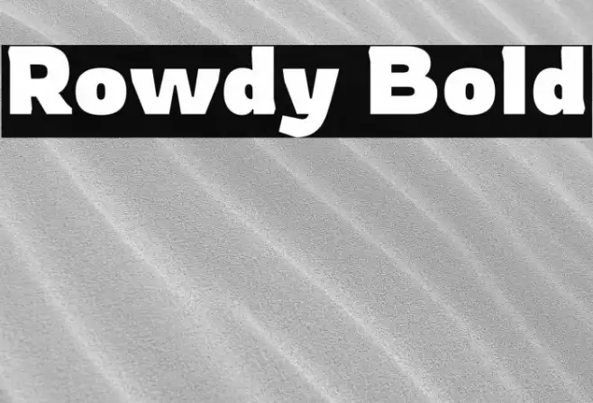 Rowdy Bold Font examples