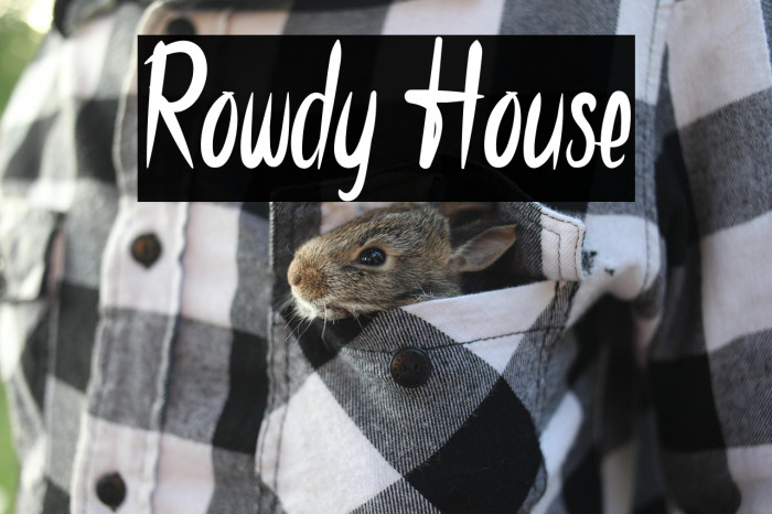 Rowdy House Example 1