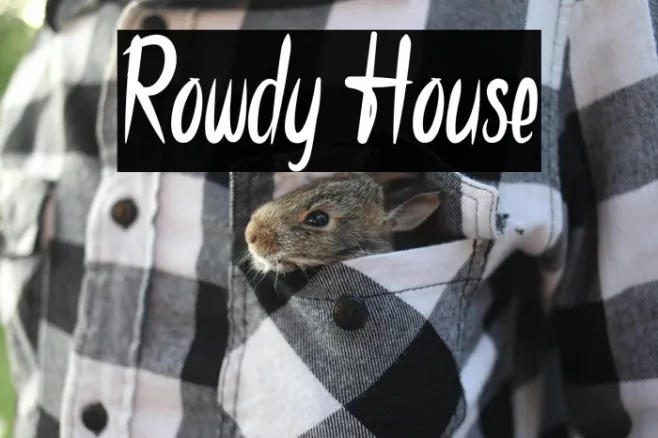Rowdy House Example 1