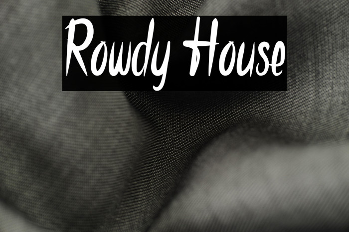 Rowdy House Example 3