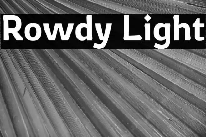 Rowdy Light Font examples