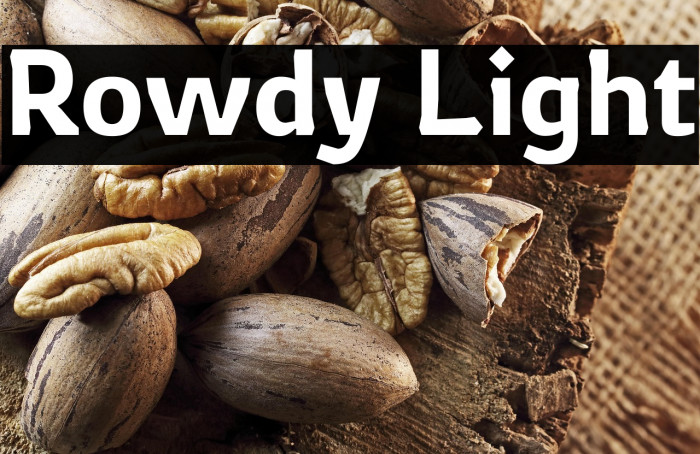 Rowdy Light Example 3