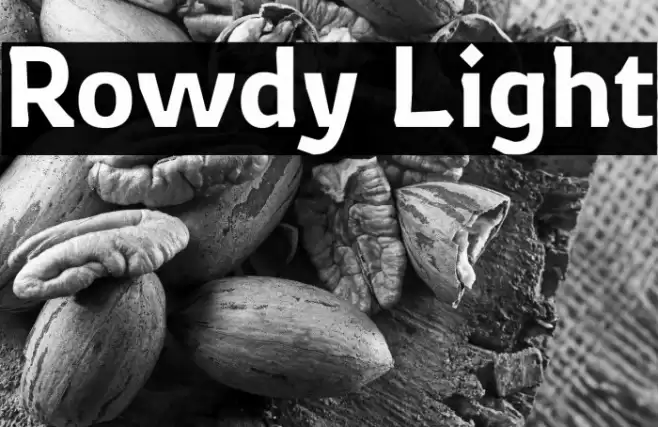 Rowdy Light Font examples