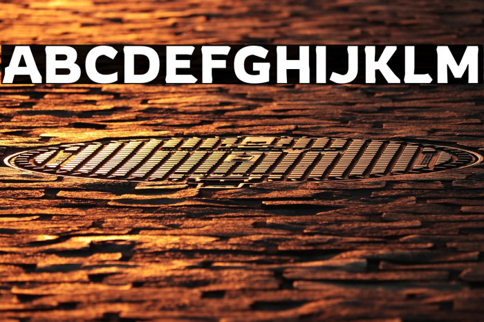 Rowdy Regular Example 2