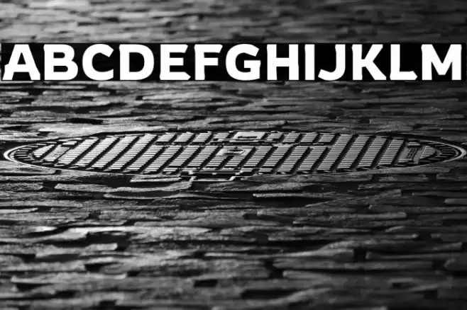 Rowdy Regular Font examples